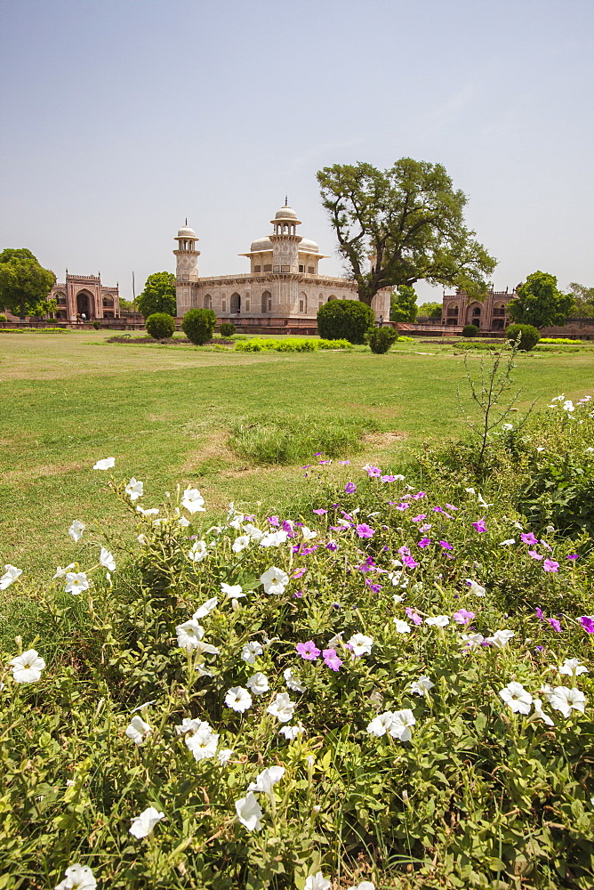 Colorful flowers bloom in the garden Chahar Bagh, site of tombs built during the reign of the Moghuls, Delhi, India, Asia