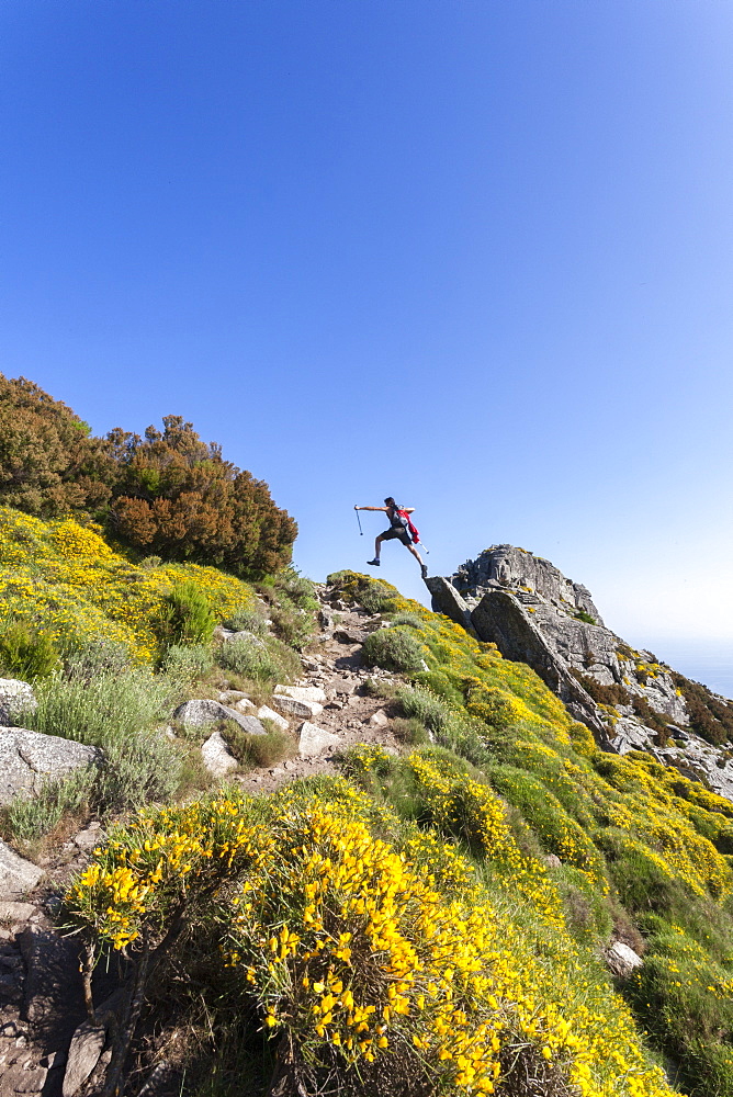 Hiker jumps on rocks on the path to Monte Capanne, Elba Island, Livorno Province, Tuscany, Italy, Europe