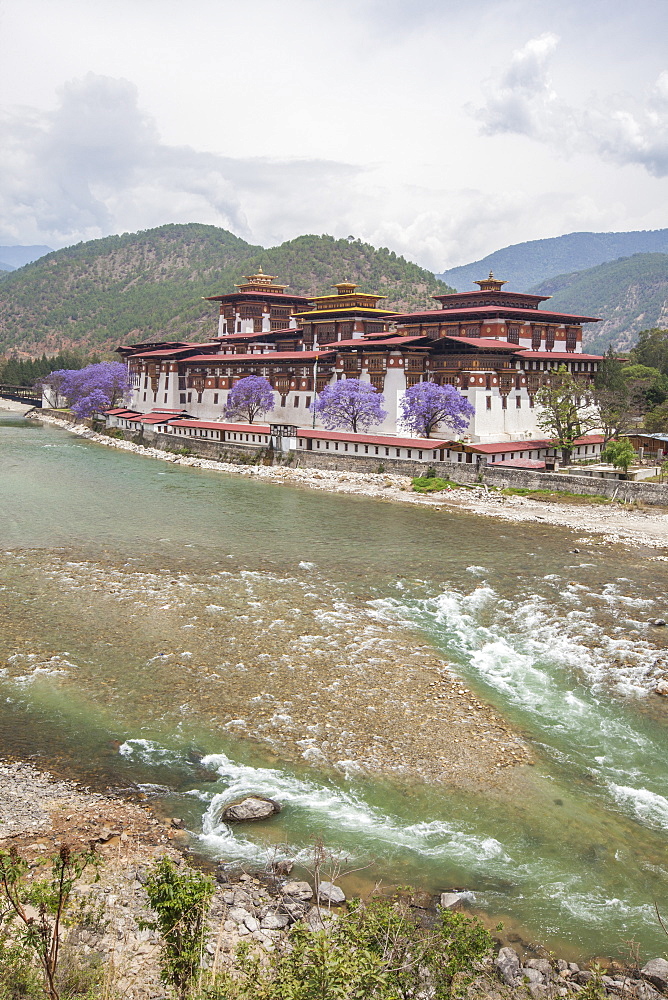 The Punakha Dzong (Pungtang Dechen Photrang Dzong) is the administrative centre of Punakha District in Punakha, Bhutan, Asia