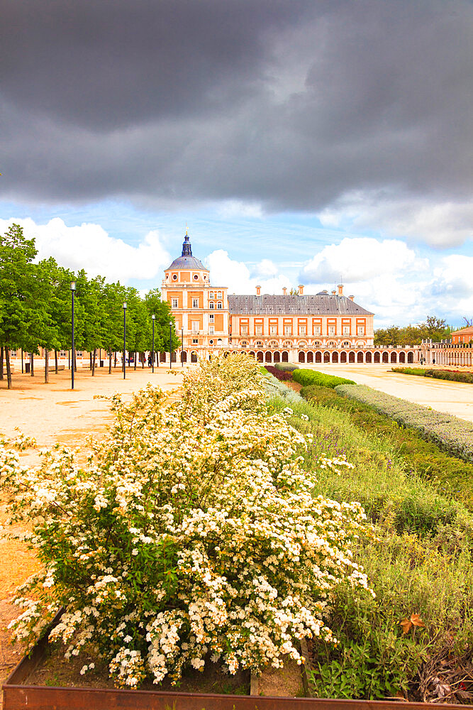 Ornamental plants, Royal Palace of Aranjuez (Palacio Real), Community of Madrid, Spain, Europe