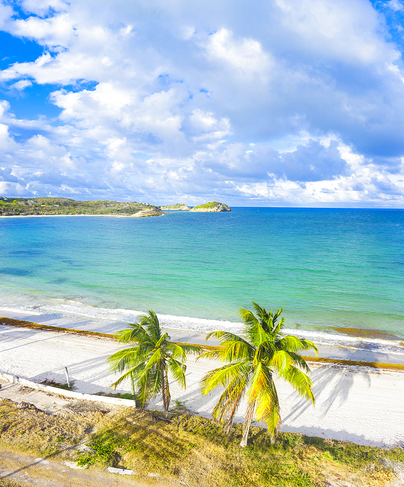 Aerial panoramic by drone of palm-fringed beach washed by Caribbean Sea, Antilles, West Indies, Caribbean, Central America