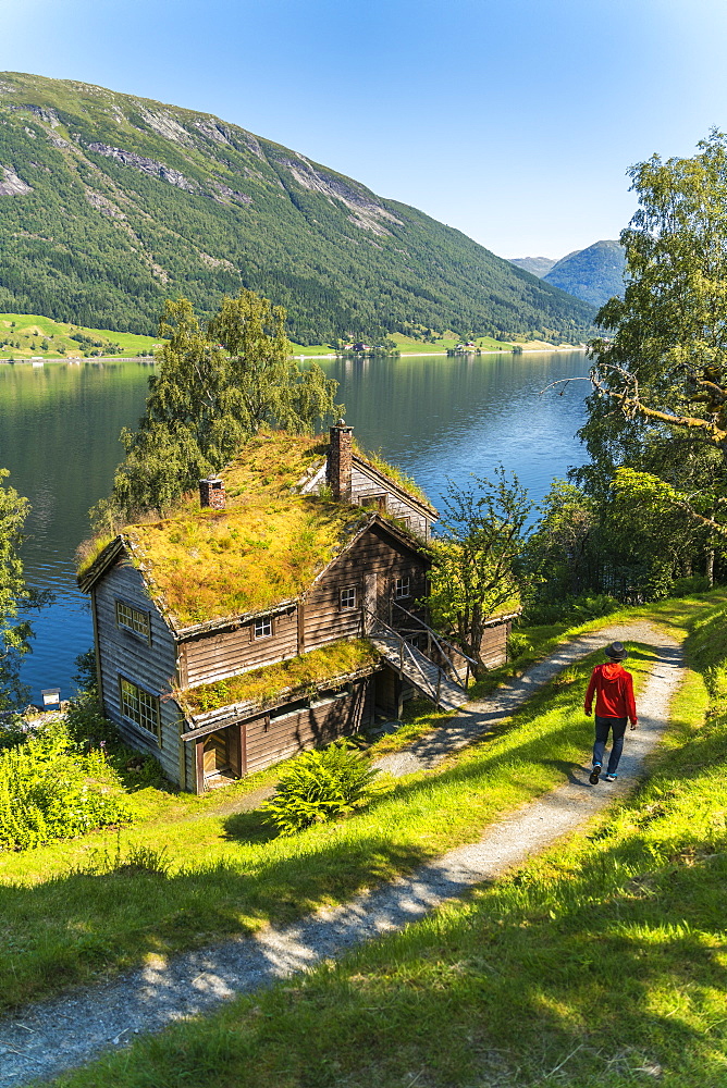 Tourist man on footpath in the old Astruptunet farms complex, Jolster, Sunnfjord, Sogn og Fjordane county, Norway, Scandinavia, Europe