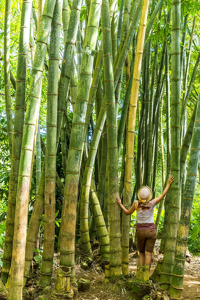 Beautiful woman looking up in the Bamboo forest, Pamplemousses Botanical Garden, Mauritius, Africa