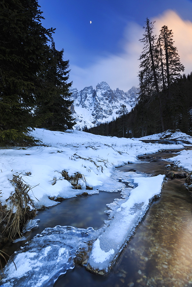 A frozen creek under a cold winter sky, Venagia Valley, Panaveggio Natural Park, Dolomites, Trentino-Alto Adige, Italy, Europe