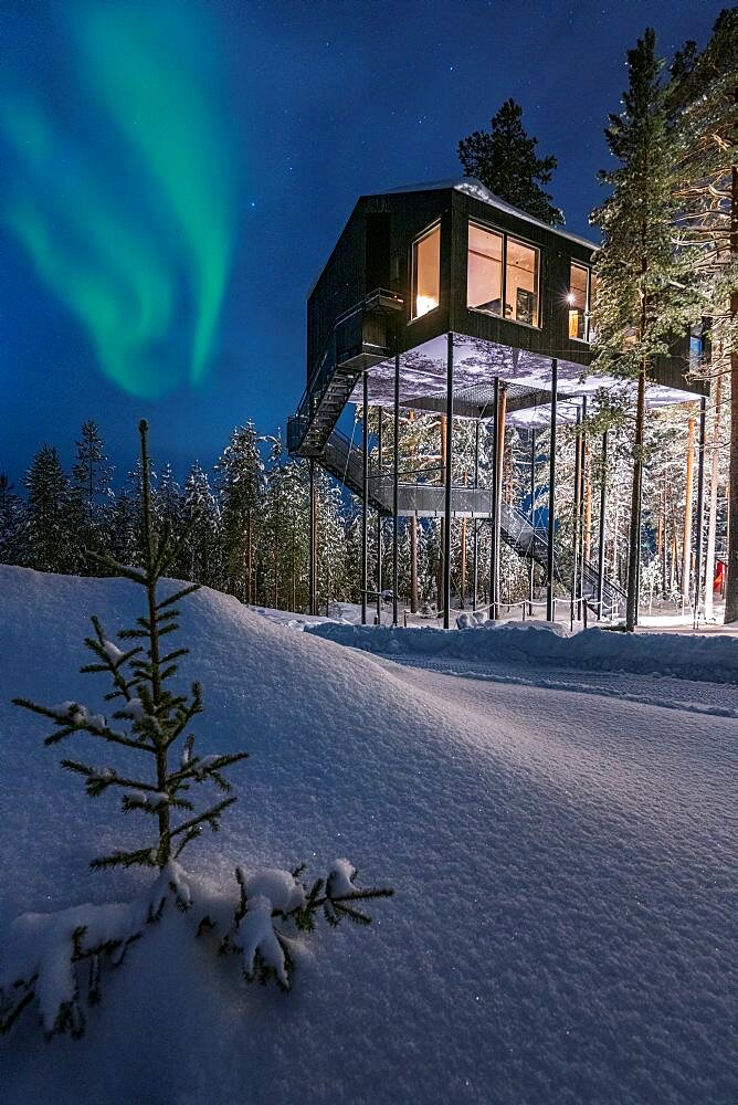 Aurora Borealis view from the luxury wood cottage built amongst trees in the snowy forest, Tree hotel, Harads, Lapland, Sweden