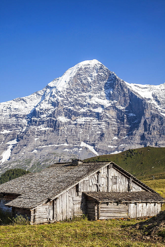 Wood hut with Mount Eiger in the background, Mannlichen, Grindelwald, Bernese Oberland, Canton of Bern, Swiss Alps, Switzerland, Europe