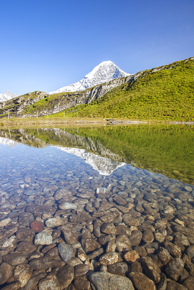 Mount Eiger reflected in a creek, Mannlichen, Grindelwald, Bernese Oberland, Canton of Bern, Swiss Alps, Switzerland, Europe