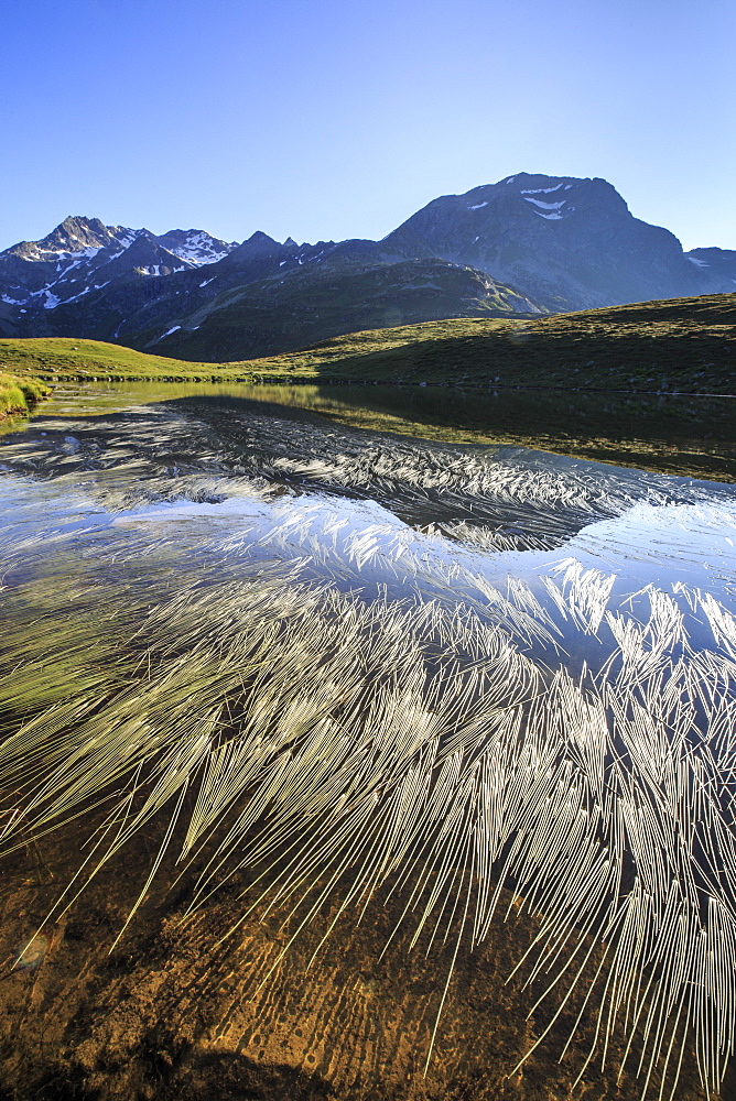 Peak Suretta is reflected in Lake Andossi at dawn, Chiavenna Valley, Spluga Valley, Valtellina, Lombardy, Italy, Europe