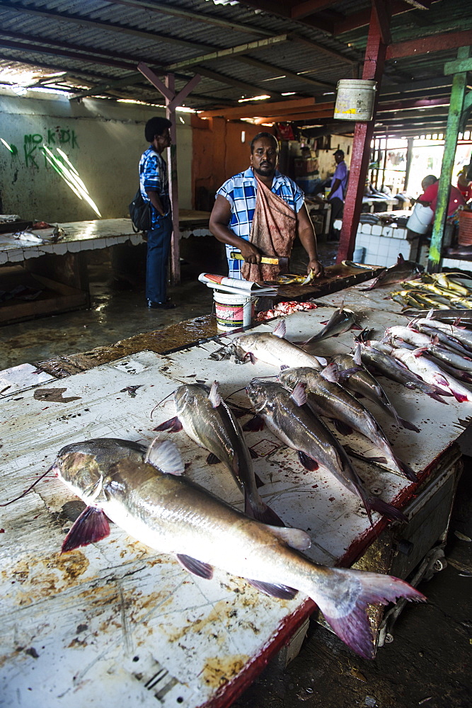 Fresh fish for sale in the Stabroek market, Georgetown, Guyana, South America