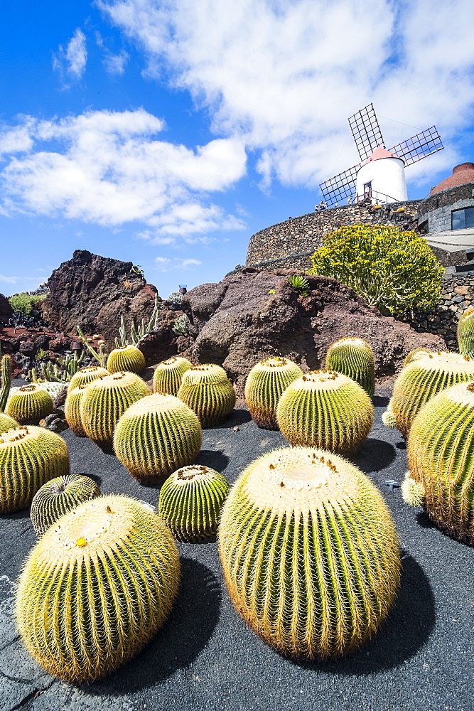 Jardin de Cactus (Cactus Garden) Cesar Manrique, Lanzarote, Canary Islands, Spain, Atlantic, Europe