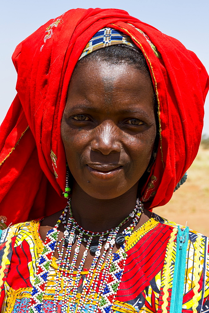 Colourfully dressed woman travels with a caravan of Peul nomads and their animals in the Sahel of Niger, West Africa, Africa