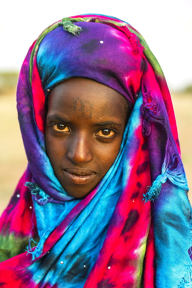 Colourful dressed girl at the Gerewol festival, courtship ritual competition among the Wodaabe Fula people, Niger, West Africa, Africa