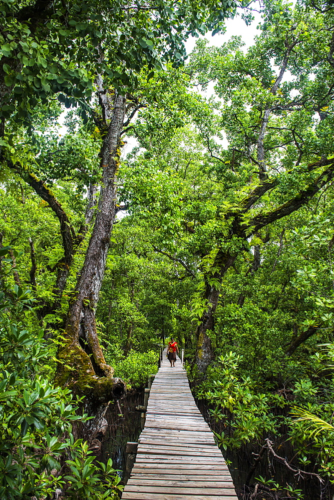 Long pier over a swamp, Kosrae, Federated States of Micronesia, South Pacific