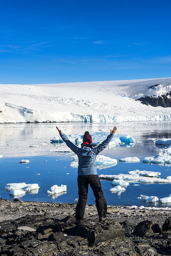 Tourist admiring the beautiful bay filled with icebergs in Hope Bay, Antarctica, Polar Regions