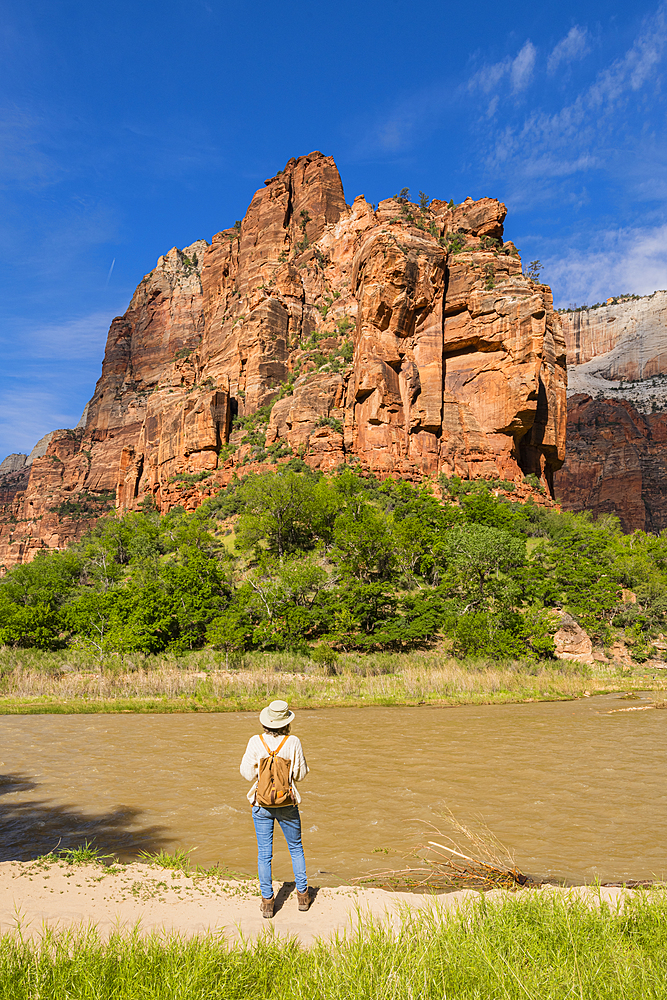 Angels Landing and the Virgin River from in Zion Canyon, Zion National Park, Utah, United States of America, North America