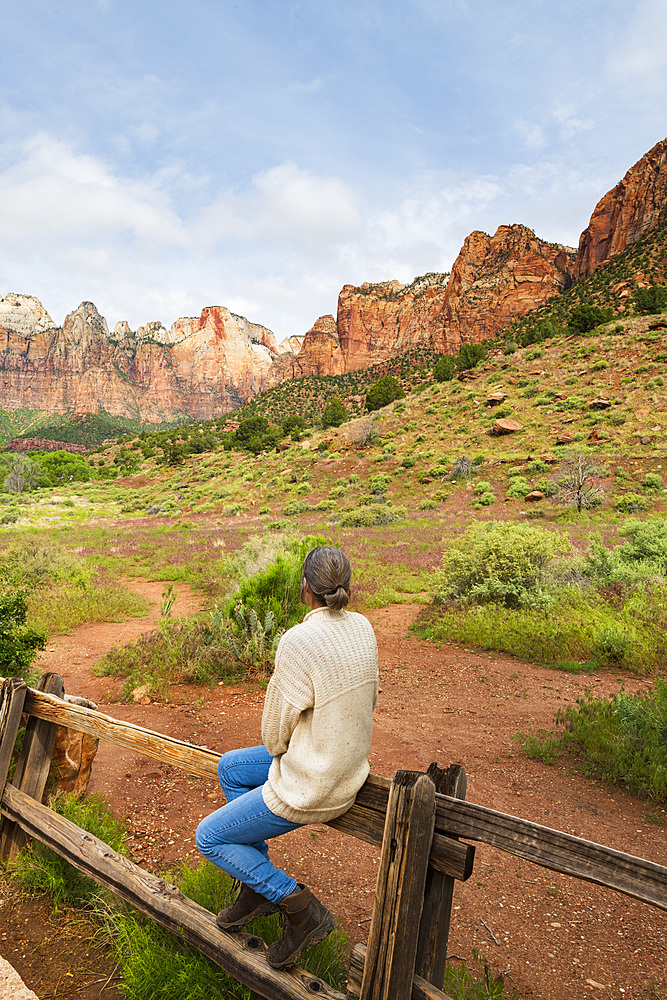 Temples and Towers of the Virgin, Zion National Park, Utah, United States of America, North America