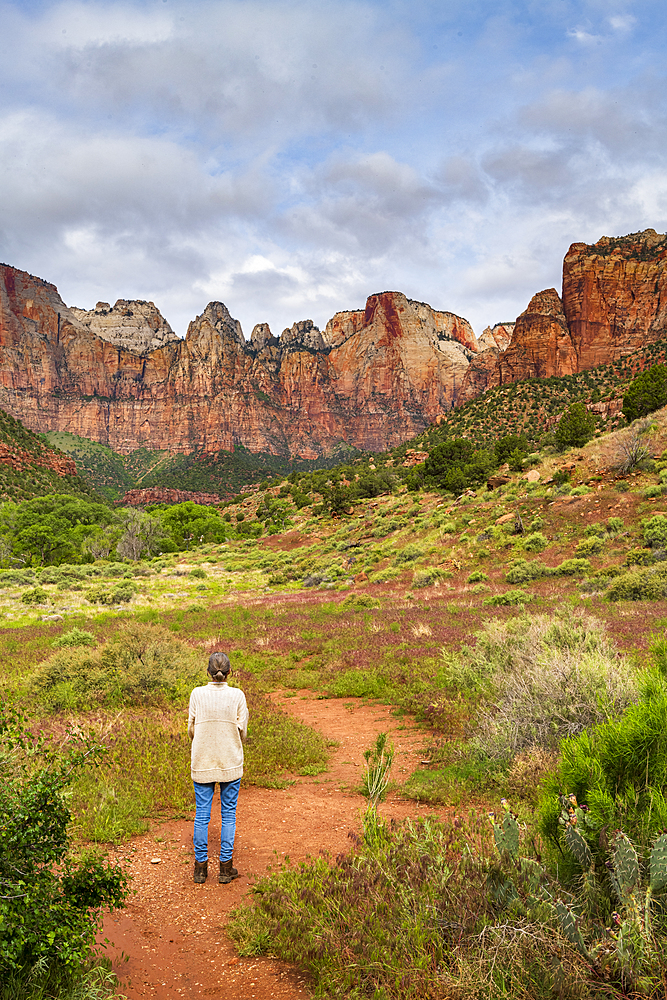 Temples and Towers of the Virgin, Zion National Park, Utah, United States of America, North America