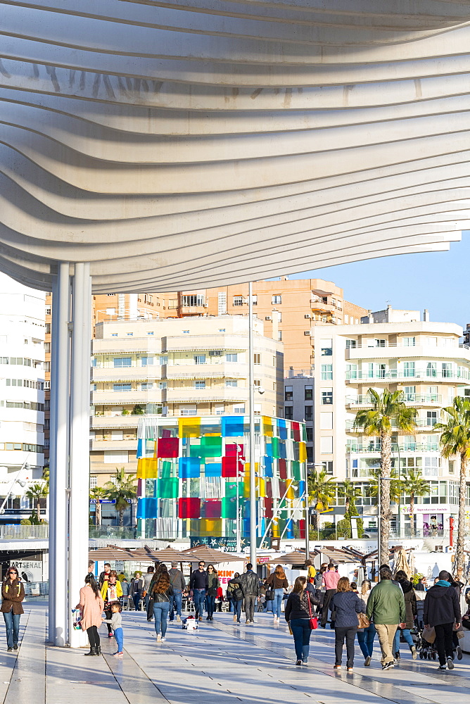 Paseo De La Pergola, Malaga, Andalusia, Spain, Europe