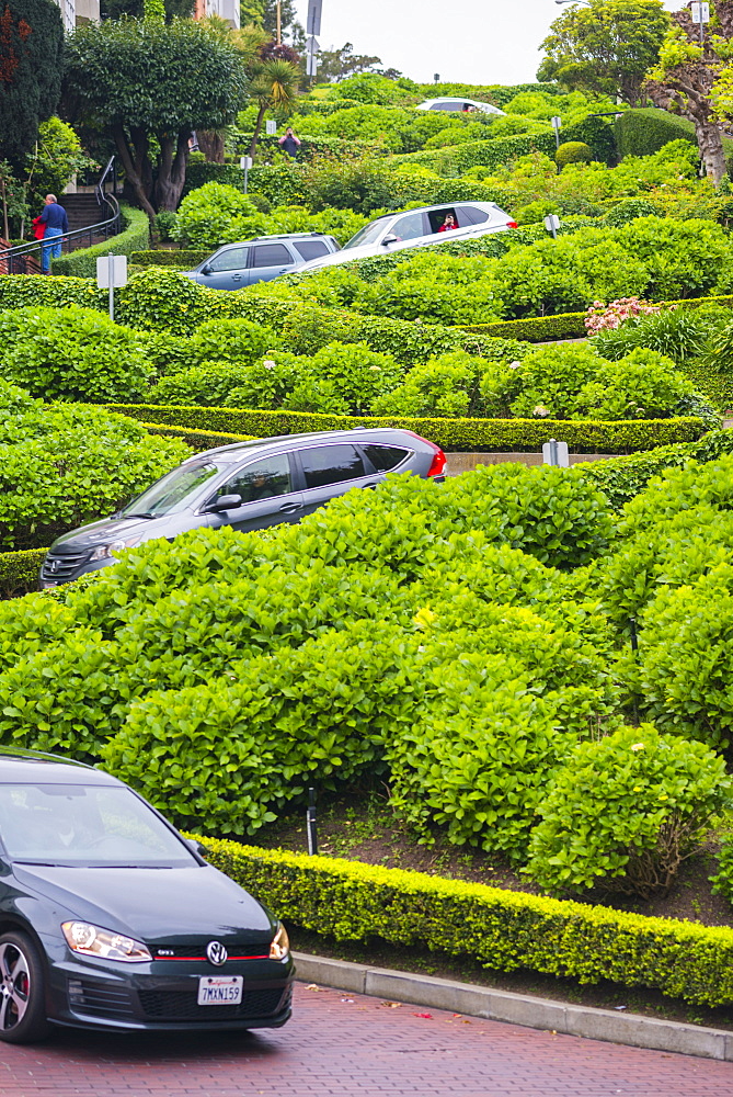 Lombard Street, San Francisco, California, United States of America, North America