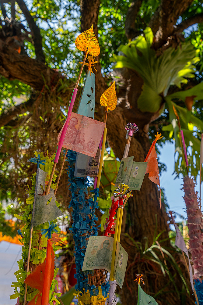 Money donations in tree at Wat Ket Karam Buddhist temple in Chiang Mai, Thailand, Southeast Asia, Asia