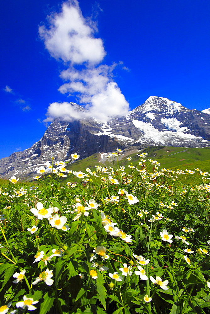 Swiss Alps, Eiger and Moench, Bernese Oberland, Switzerland