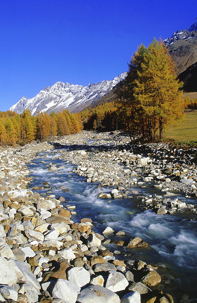 Swiss, switzerland, valais, wallis, loetschental