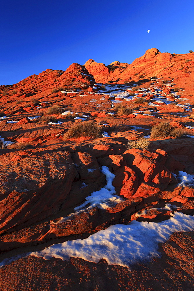 Coyote buttes north, sandstone formed by wind and water, paria wilderness area, arizona, usa