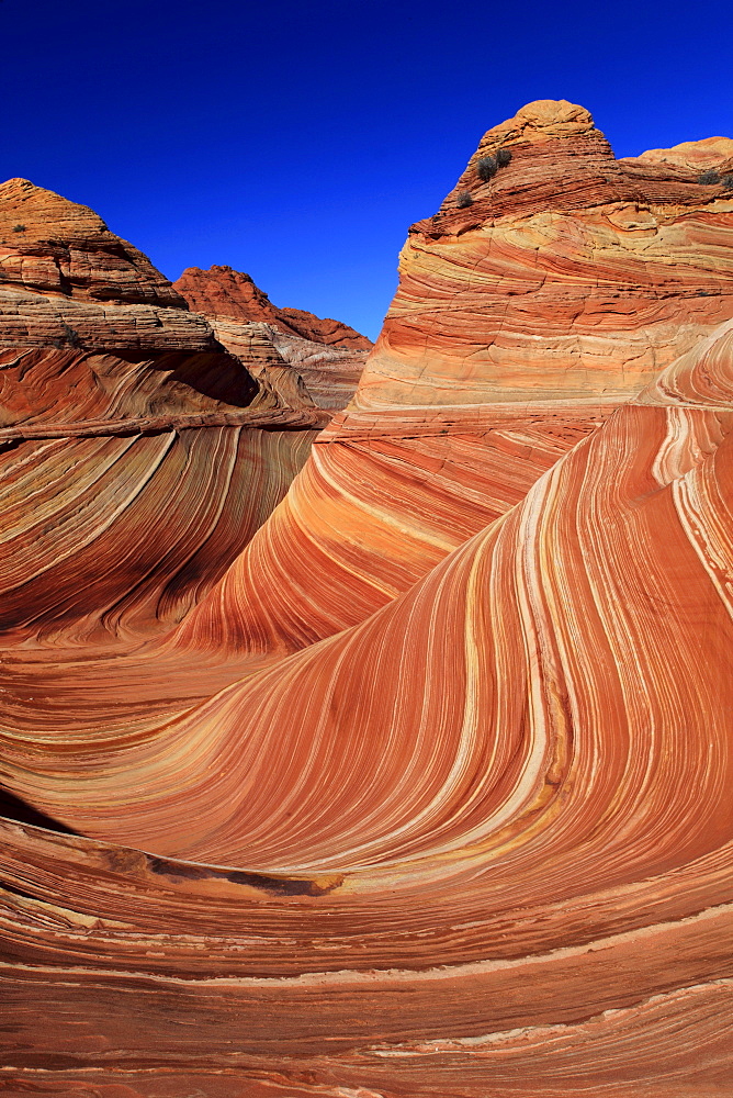 Coyote buttes north, the wave, sandstone formed by wind and water, paria wilderness area, arizona, usa