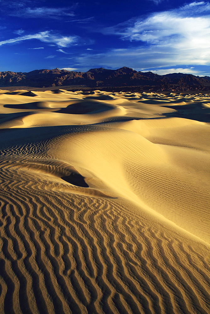 Mesquite flats sand dunes, death valley national park, california, usa