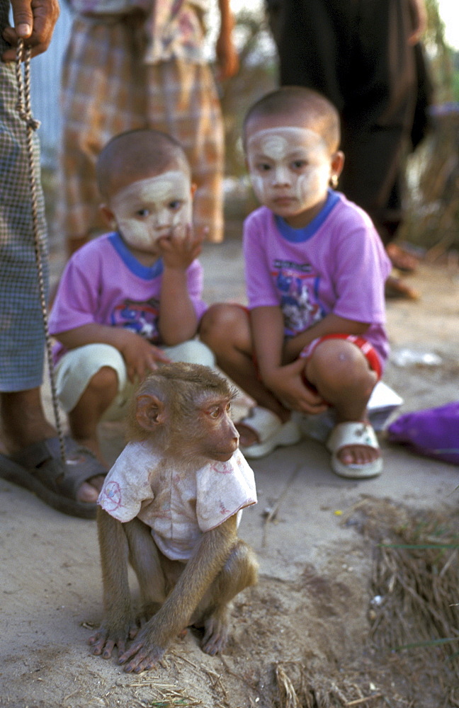 Thailand burmese children and monkey, mae sot