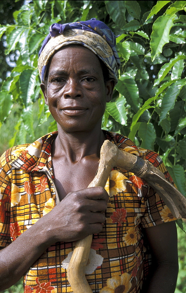 Ghana farmer of bongo, bolgatanga