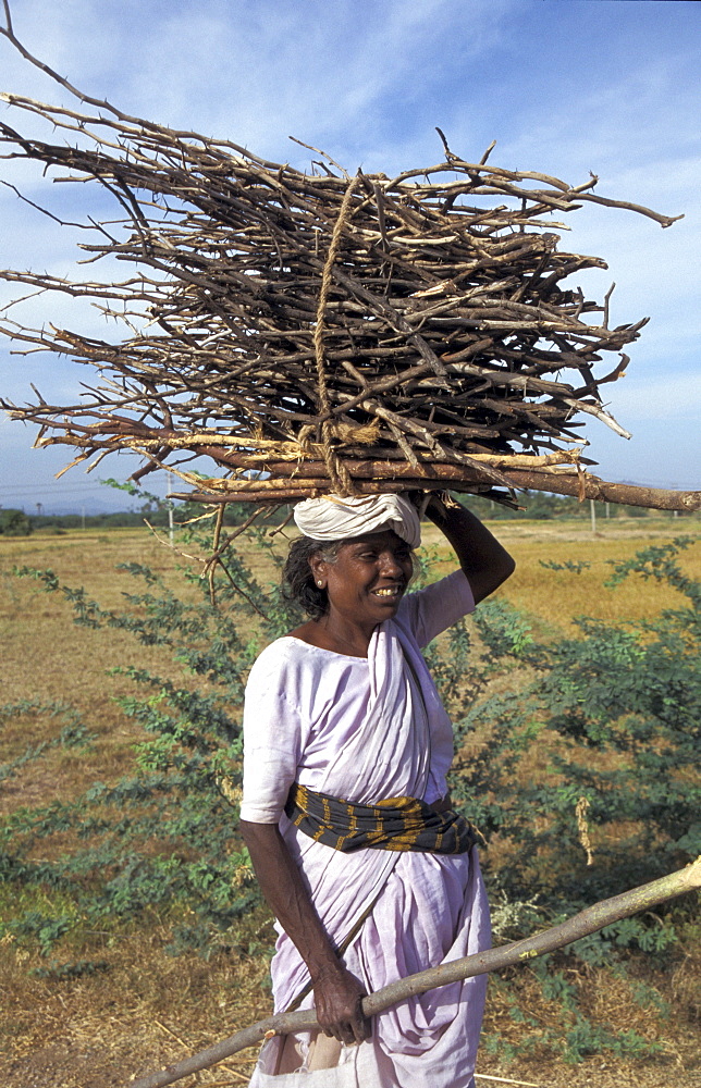 India woman carrying firewood