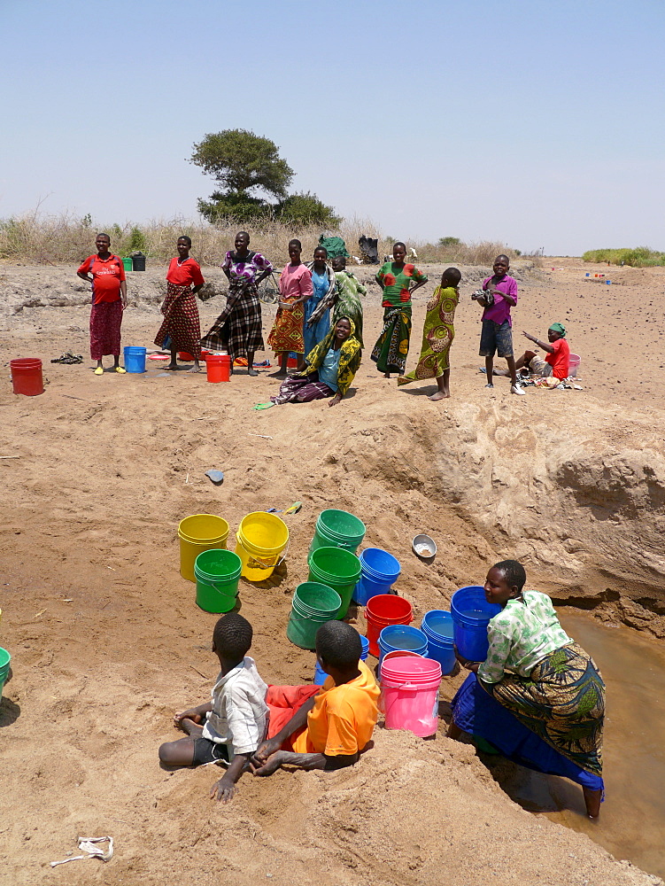 TANZANIA Watatulu tribes collecting water from a dry river bed in Miyuguyu, Shinyanga. photograph by Sean Sprague