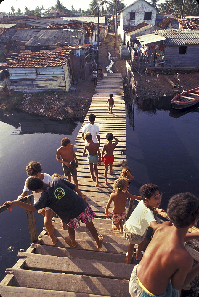 Brazil the favela of peixhinos, recife