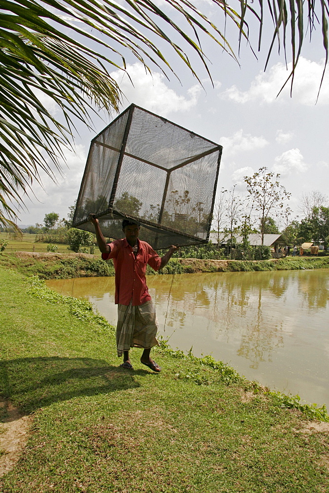 Bangladesh man carrying boxed net, fish hatchery employing scientific methods at haluaghat, mymensingh region