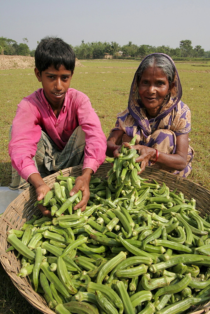 Bangladesh ajizul hoque and his grandmother shahera khatun with their harvest of okra, or ladies fingers kumargati village, mymensingh region