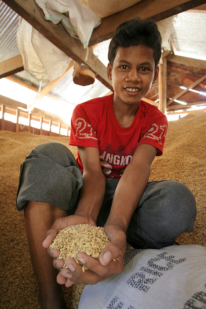 Cambodia a rice bank in daung village, kampot province.