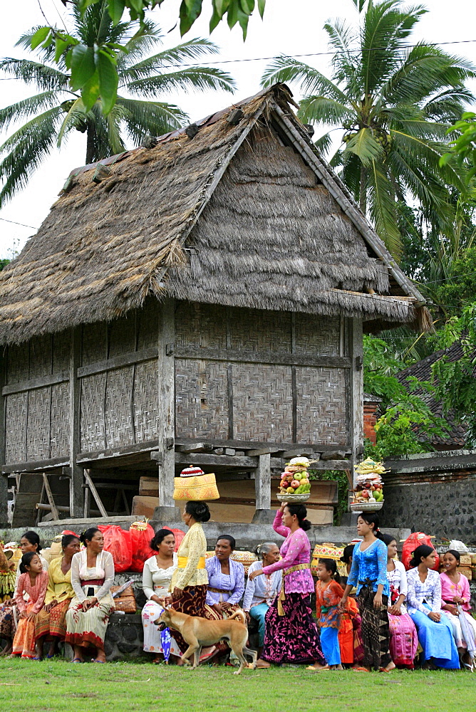 Indonesia woman carrying offerings at hindu ceremony near klungkung on full moon. Bali 