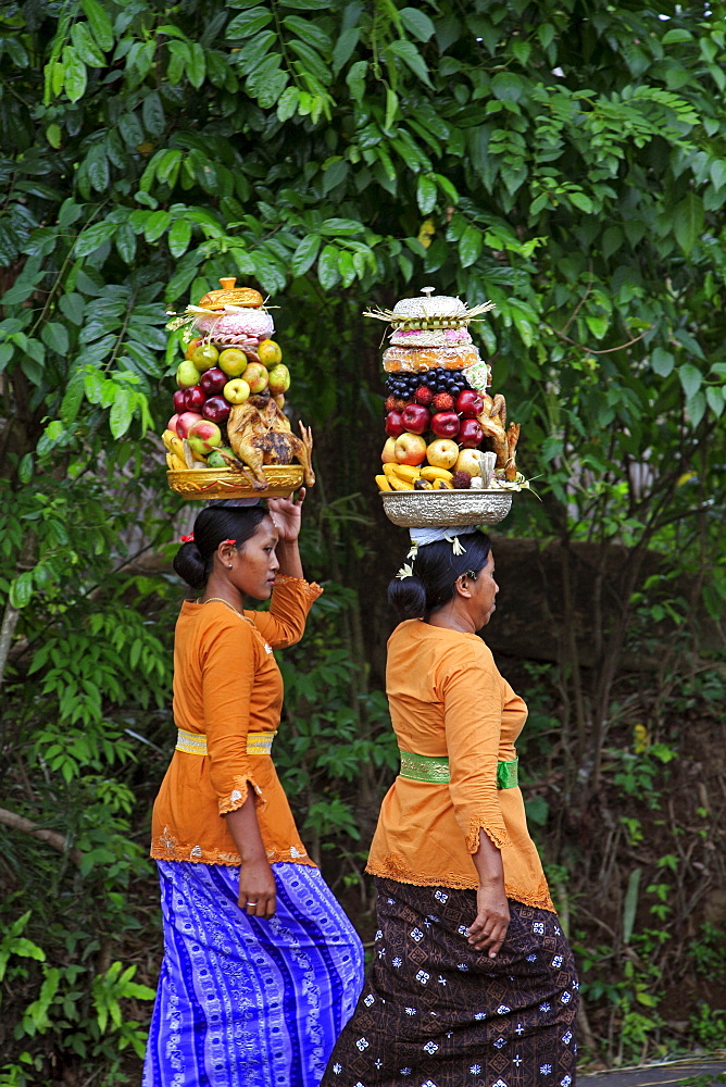 Indonesia women carrying food offerings to temple. Hindu ceremony near klungkung on full moon. Bali 