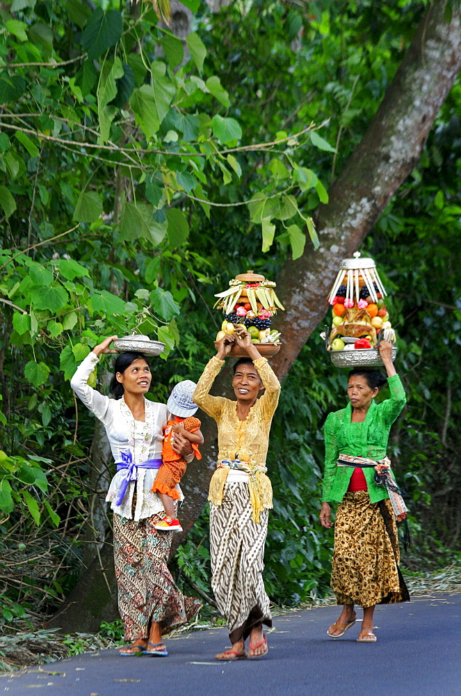 Indonesia women carrying food offerings to temple. Hindu ceremony near klungkung on full moon. Bali 