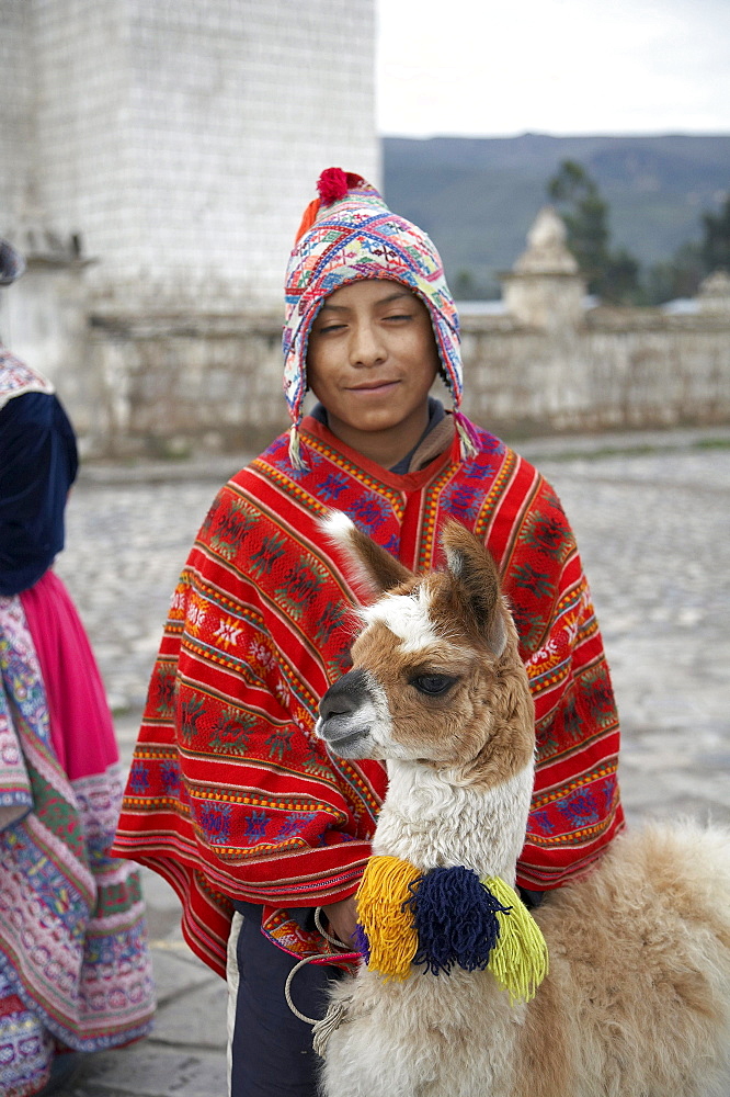 Peru. Boy with alpaca, yanque, colca canyon