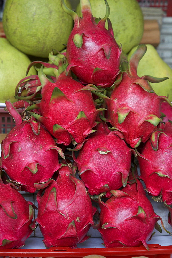 Vietnam saigon fruit market. dragon fruit other names: strawberry pear, pitaya botanical name: hylocereus undatus