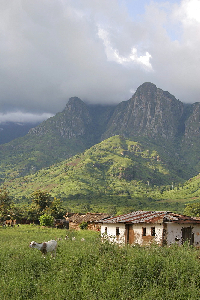 Tanzanian landscape near same in the north-east