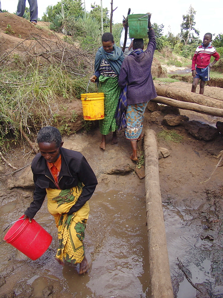 Tanzanian women collecting unsafe and dirty drinking water from a water hole at kansay, near ngorongoro. They will carry the bucket of water upto 3 miles each way to and from their homes.They And their families suffer from parasites and intestinal complaints because of the contaminated water