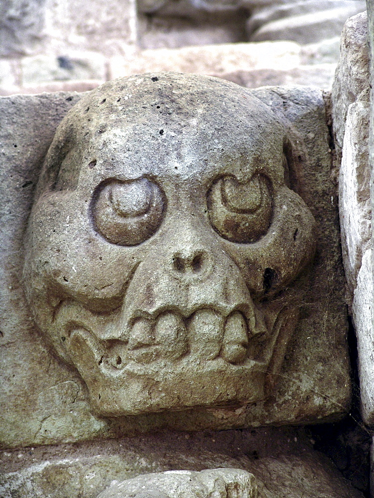 Honduras stone head at copan mayan ruins