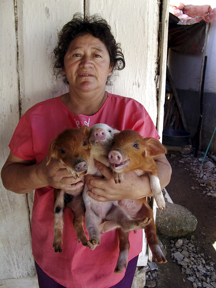 Honduras woman with piglets. These were provided by a project to raise nutrition levels in the rural areas. Marcala