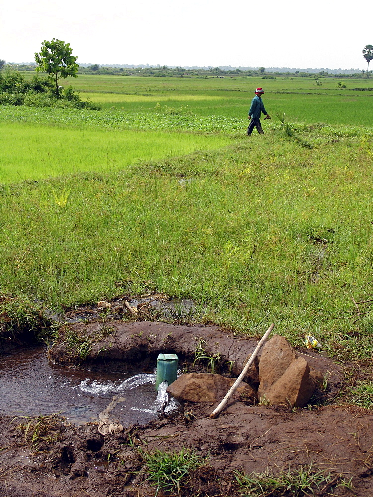 Cambodia irrigation system, kampong thom