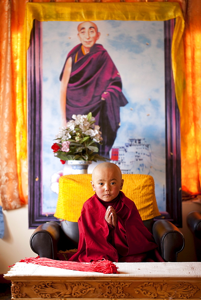 A painting of Bakula Rinpoche hangs behind his reincarnation, a six year old boy from Nurla, at Samkar Tashi Gatsal House. Ladakh, India