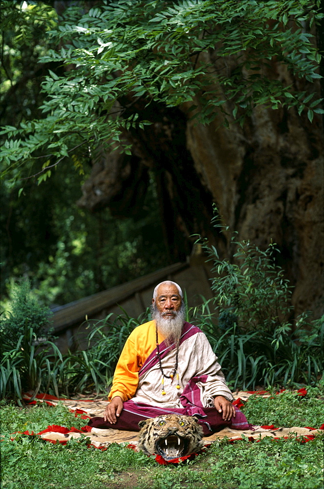 Chatral senge dorje rinpoche seated on a tiger skin, yonglesho, Nepal