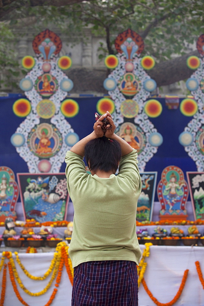 Bhutanese pilgrim praying at butter statues that is made under the bodhi tree inside mahabodhi temple complex. Kalachakra initiation in bodhgaya, india  